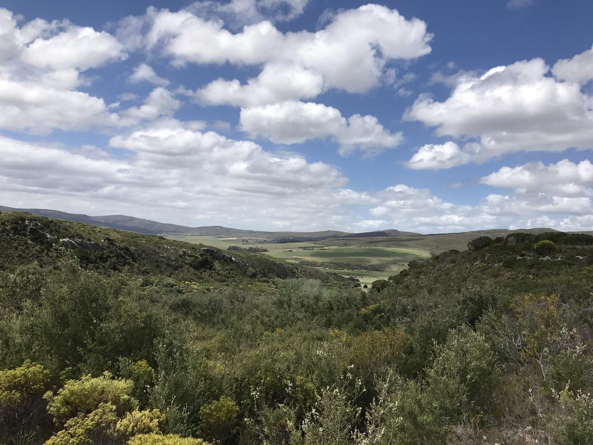 Goedvertrou Guest Farm Papiesvlei Exterior foto