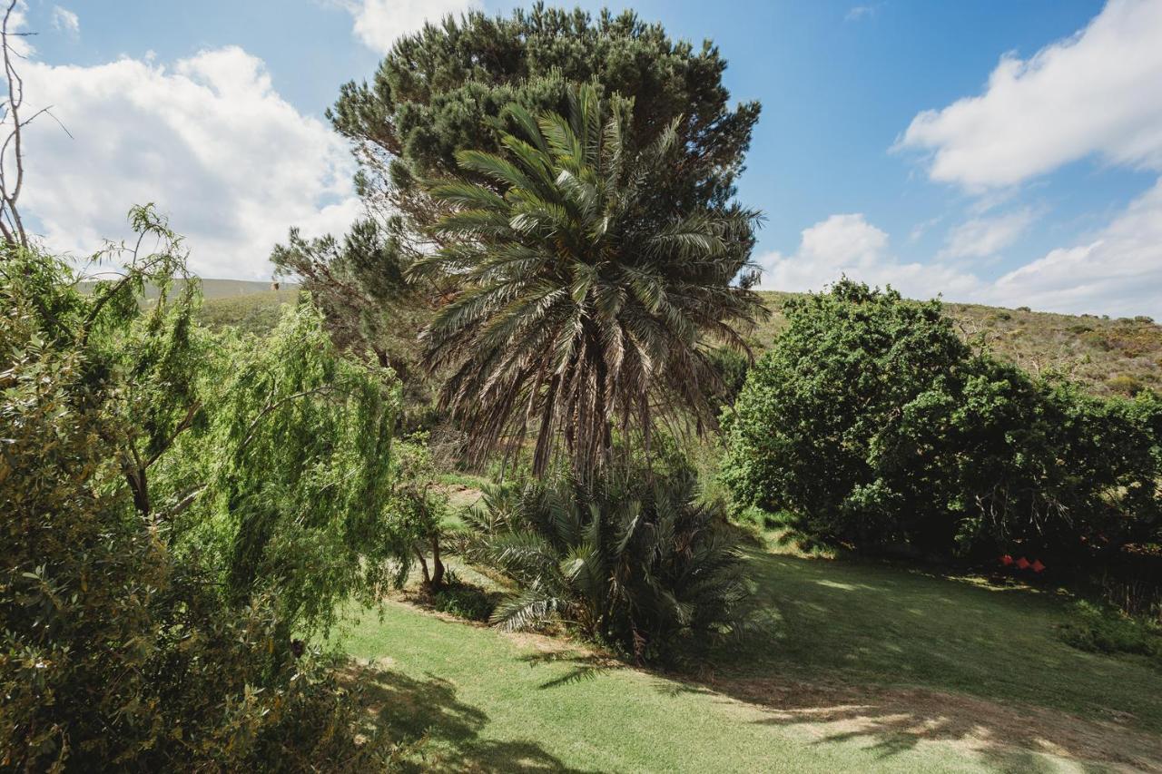 Goedvertrou Guest Farm Papiesvlei Exterior foto