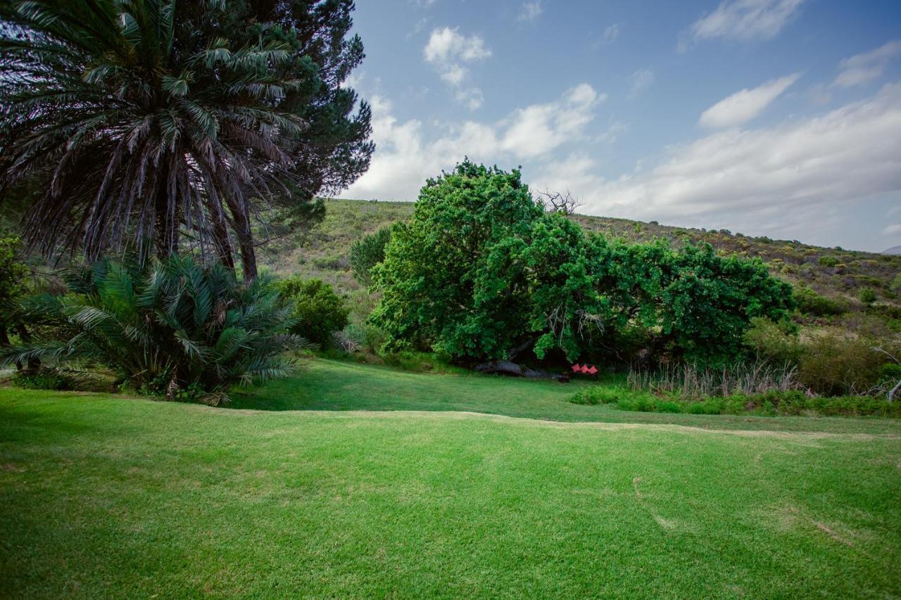 Goedvertrou Guest Farm Papiesvlei Exterior foto