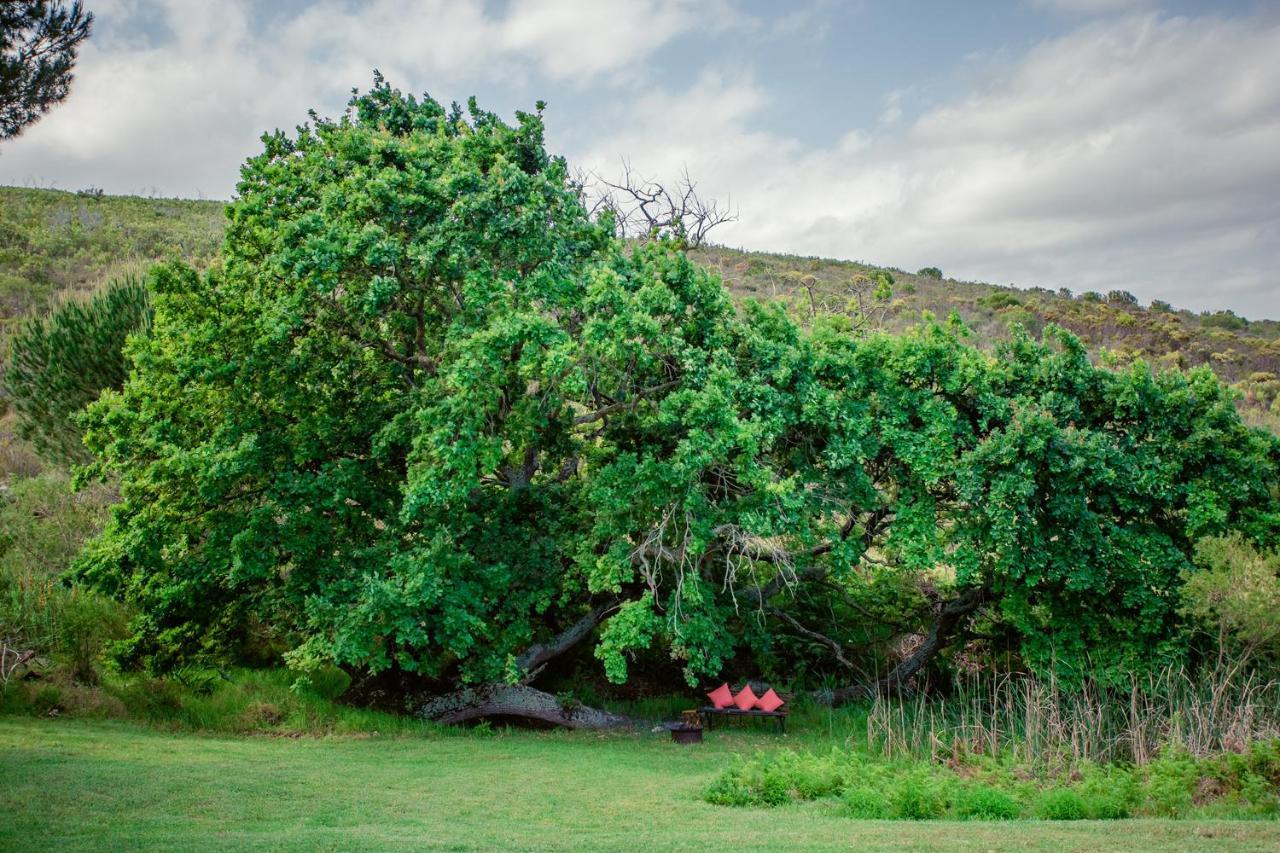 Goedvertrou Guest Farm Papiesvlei Exterior foto
